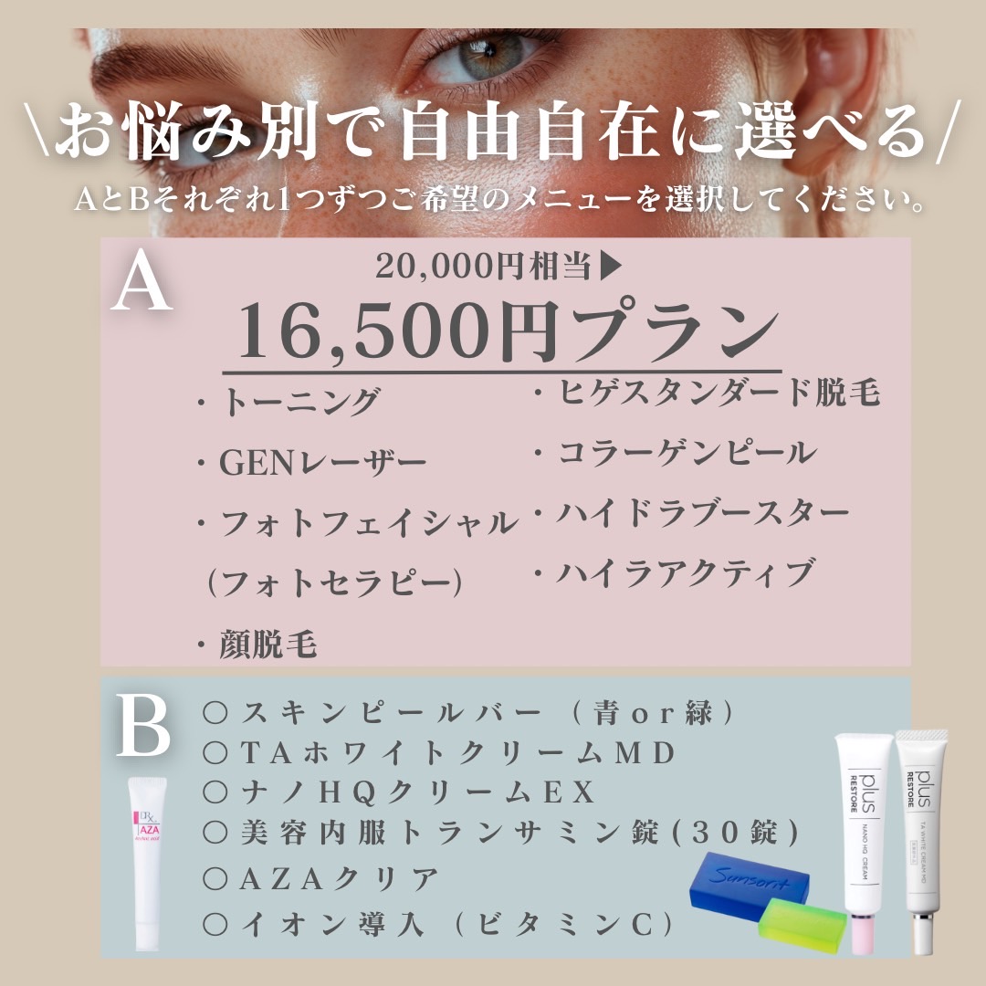 16,500円プラン