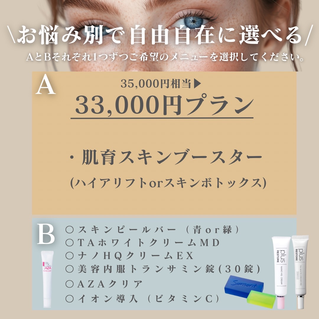 33,000円プラン